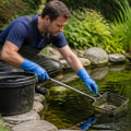 Essential Steps for Cleaning Your Garden Pond Effectively