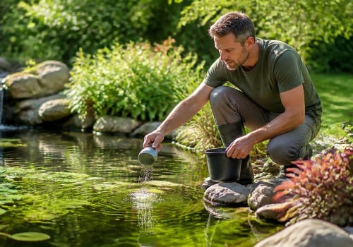 Effective Strategies for Managing Mosquitoes in Your Garden Pond