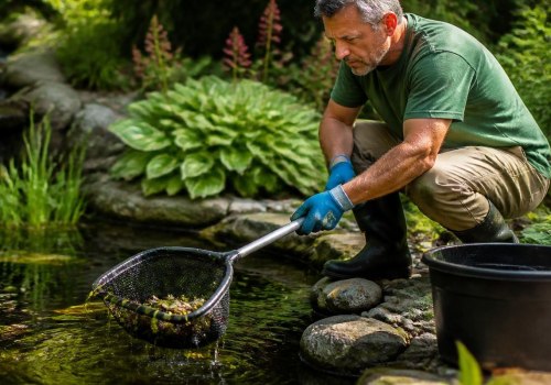 Essential Maintenance Tips for Your Garden Pond
