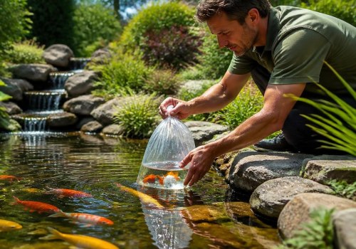 Choosing the Right Fish Species for Your Garden Pond