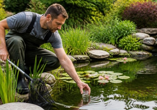 Essential Tips for Maintaining Water Quality in Your Garden Pond