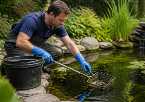 Essential Steps for Cleaning Your Garden Pond Effectively